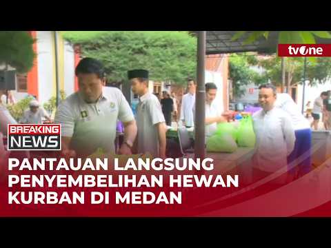 Panitia Kurban UMSU Bagikan 3.600 Paket Daging Sapi | Breaking News