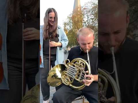 There she blows! A professional violinist tries French horn for the first time