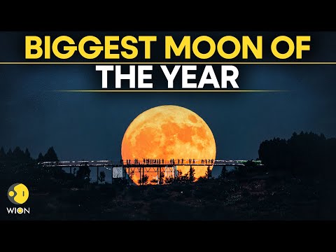 Supermoon 2025 LIVE: Supermoon Lights Up Sydney Sky Over Bondi Beach | Spectacular Views | WION