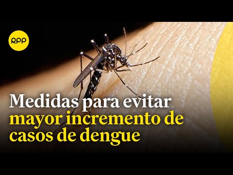 Casos de dengue: Medidas para controlar su incremento