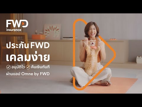 ไปเล่นกับแมวได้เลยไม่ต้องรอ…