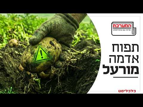 תפוח אדמה מורעל ואדמה ספוגת קצף: כימיקלי העד מציפים את ישראל