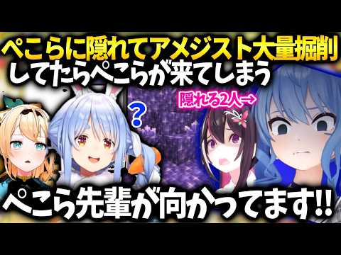 すいちゃんあずきちアメジスト鉱脈に近づくぺこらにバレないよういろはに誘導してもらう大作戦【星街すいせい/風真いろは/AZKI/ホロライブ】