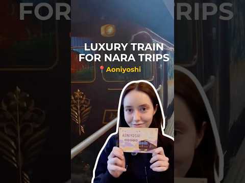 This is just a preview! Watch the full Nara day trip guide on our channel for all the details 🦌