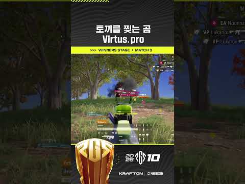 눈 깜짝할 사이 끝내 버린 토끼 사냥 🐻‍❄️ Virtus.pro