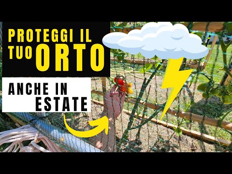 Proteggi Il Tuo Orto Con La Rete ANTIGRANDINE - ideale anche per gli alberi