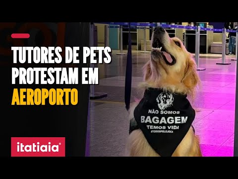 CASO JOCA: TUTORES DE PETS PROTESTAM EM AEROPORTO DE CURITIBA