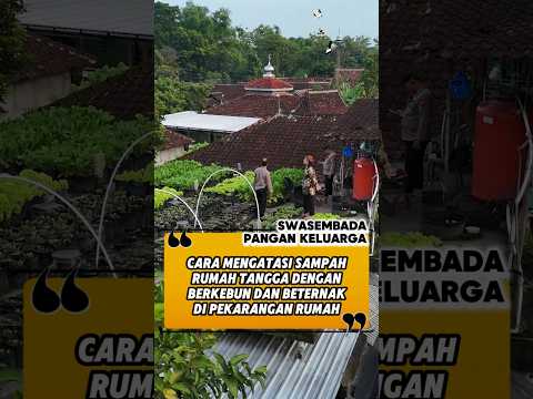 BERKEBUN DI ATAP RUMAH