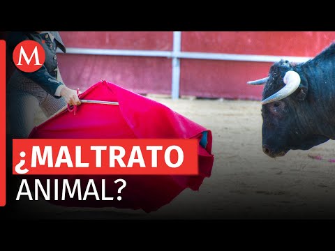 ¿Qué sigue después de la suspensión de las corridas de toros en la Ciudad de México?