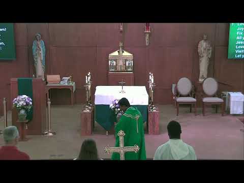 Sunday Mass in English | Misa Dominical en Inglés | August 25, 2024