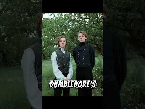 HARRY POTTER Book Fact That Were NEVER MENTIONED IN MOVIES😱 #harrypotter #facts #subscribe