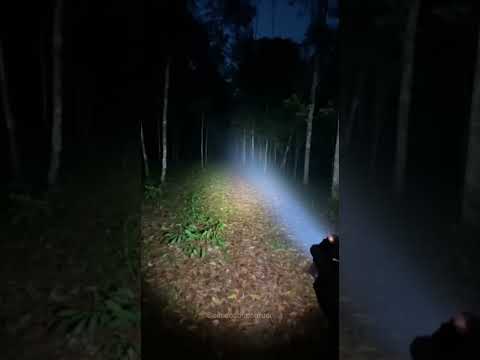 Lobisomem pegou ele 😳. #real #reaction #lobisomem #terror #horror