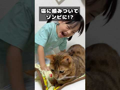 噛みつき猫に噛みついてゾンビにしてやろう #shorts #寸劇