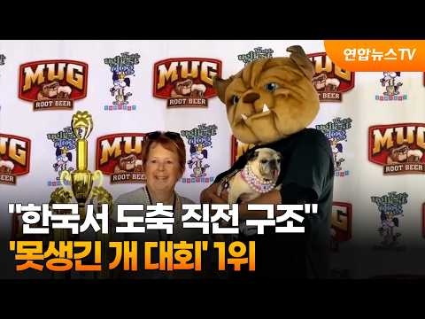 "한국서 도축 직전 구조"…'못생긴 개 대회' 1위 / 연합뉴스TV (YonhapnewsTV)