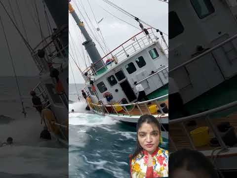 TIMELAPSE: START to FINISH Alone BUILD LOG Cabin (Wooden House)How To Build Wooden Cabin Surviva..