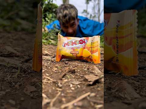 Don’t go too far, the millipede might lose its way without you.#shortsvideo#millipedes