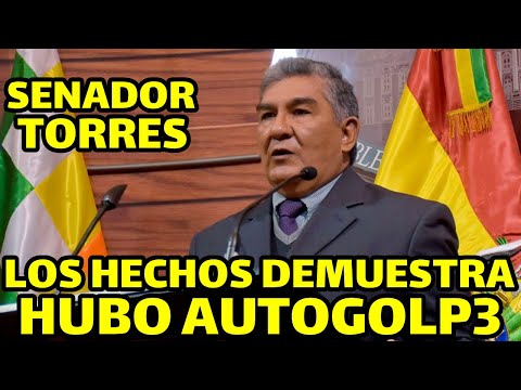 SENADOR WILLIAM TORRES ANALIZA SI HUBO GOLP3 O AUTOGOLP3 EN BOLIVIA..