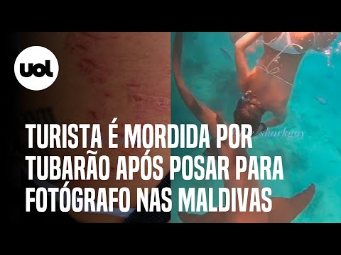 Vídeo flagra momento em que turista é mordida por tubarão nas Ilhas Maldivas; veja imagens