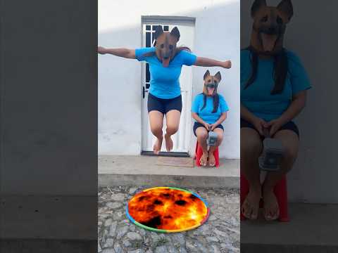 Cachorro pulou no bambolê #viralvideo #shorts