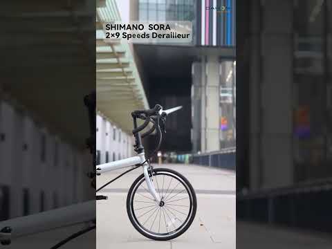 You may NOT have seen this one! Archer P18 - DAHON road bike