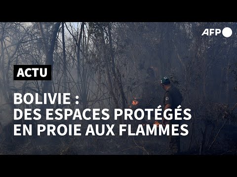 Bolivie: des réserves écologiques dévastées par des incendies | AFP