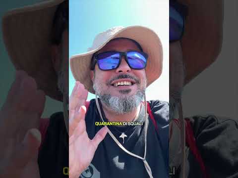 Squali a Fernando de Noronha🦈😳