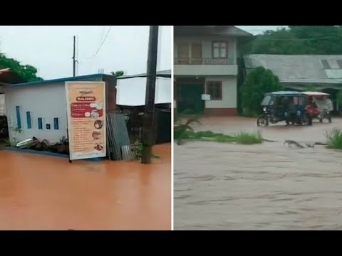 Pozuzo: Intensas lluvias provocan inundación y desborde de río
