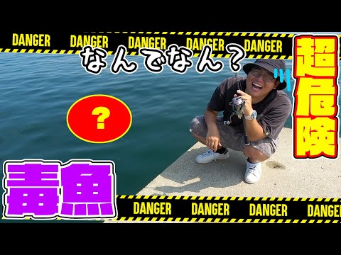 【触るな危険】堤防から超危険生物が釣れた！！