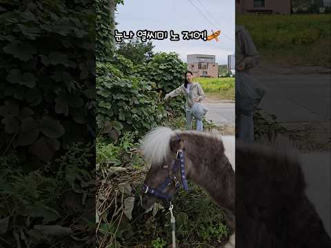 더 열씨미 하란 말이얏!😝🌿Work for me🦄♥️