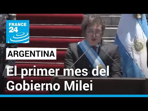 Argentina: así fue el primer mes del Gobierno de Javier Milei • FRANCE 24 Español