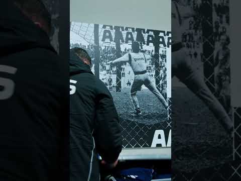 Die neue Folge Access All Areas jetzt auf unserem Kanal! 👀 #s04 #football #schalke #fussball #bts