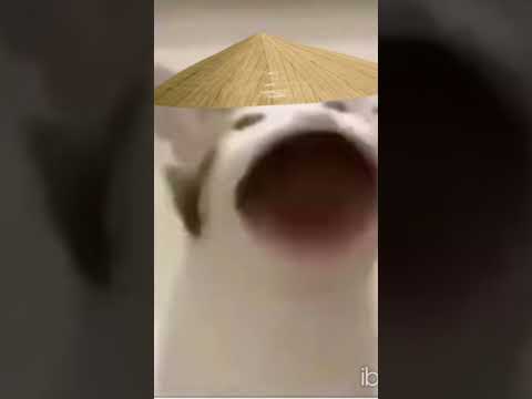 Tu CeLulaL SueNa 😖 #monitoschinos #humor #memes #china creditos:@LowtherZero #youtubeshorts