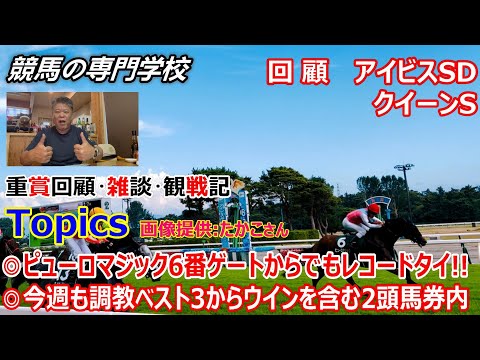 【アイビスSD クイーンS】回顧・雑談・観戦記 快速馬ピューロマジックレコードタイの快走で重賞3勝目