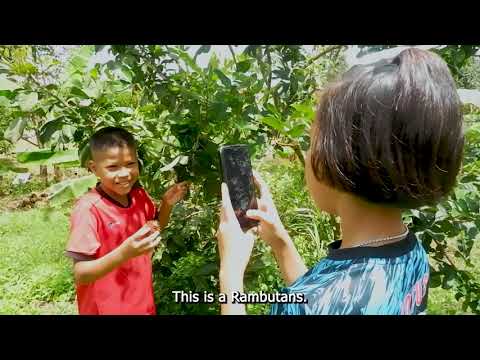 สํานักงานศึกษาธิการ จังหวัดตราด แนะนำผลไม้ในท้องถิ่นจัดทำโดยโรงเรียนชุมชนบ้านตากแว้ง