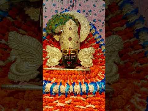 #Jay shree shyam baba ji 🙏🏻🙏🏻🙏🏻🙏🏻🙏🏻🙏🏻🙏🏻🙏🏻🙏🏻