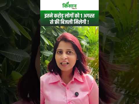 Bihar Election 2025 से पहले CM Nitish Kumar का बड़ा तोहफा – करोड़ों लोगों को इतनी यूनिट मुफ्त बिजली!