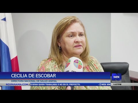 Continúa vigilancia tras confirmar casos de gripe aviar en Veraguas