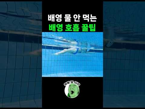 <strong>배영</strong> 할 때 계속 물을 먹는다면? #배영호흡