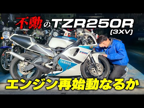 不動のTZR250Rを復活させたい！まずはエンジン始動までこぎつけられるか！？