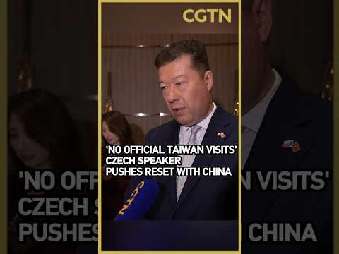 'No official Taiwan visits': Czech speaker pushes reset with China