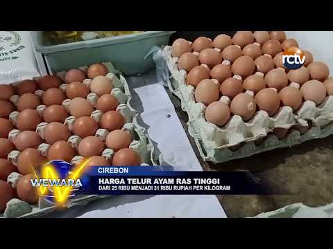 Harga Telur Ayam Ras Tinggi