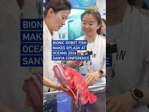 Bionic robot fish makes splash at OCEANS 2026 Sanya Conference #coolchina