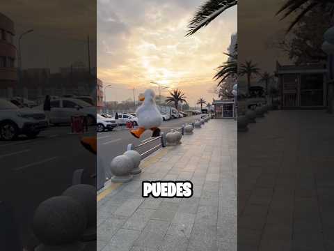 SOY EL MEJOR SALTANDO #parody