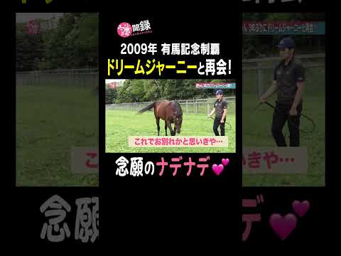 【有馬記念2009】春秋グランプリ連覇あのドリームジャーニーをナデナデ⁉︎ #謙聞録 #netkeiba で配信中 #池添謙一 #ドリームジャーニー #有馬記念