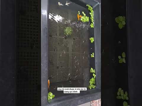 đã lâu rồi mới được ngồi cùng gia đình ăn 1 ngày lễ thật vv....