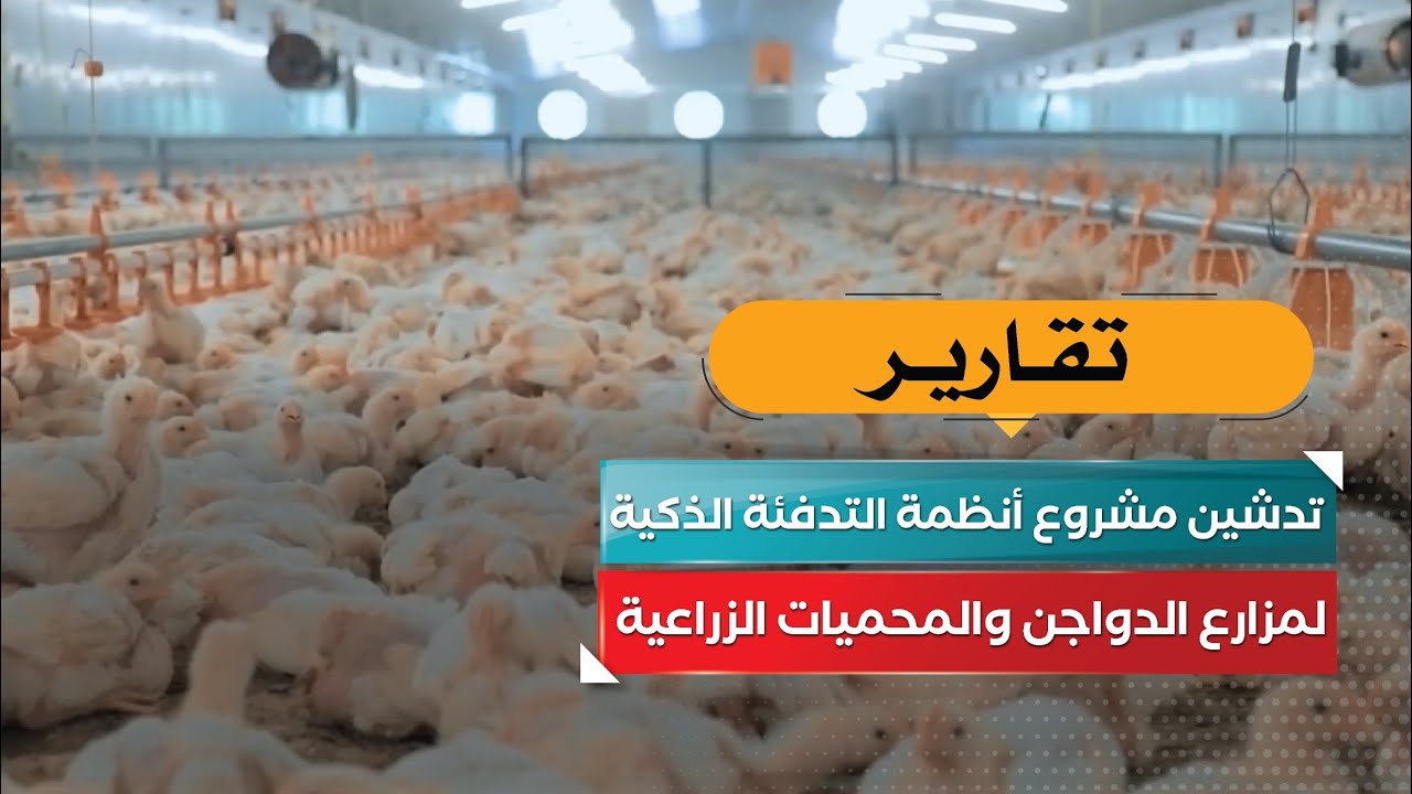 قناة السعيدة