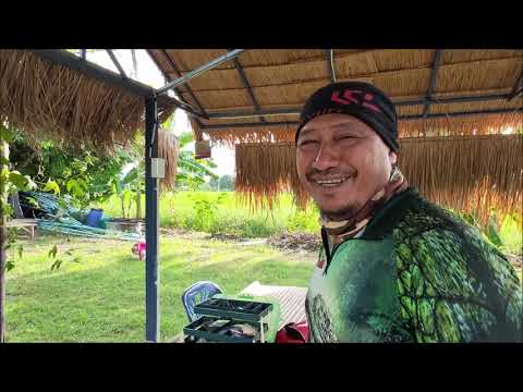 ตกปลานิล-ถ้าไซด์ใหญ่ต้องใช้บาล ตกปลานิล-ถ้าไซด์ใหญ่ต้องใช้บาล