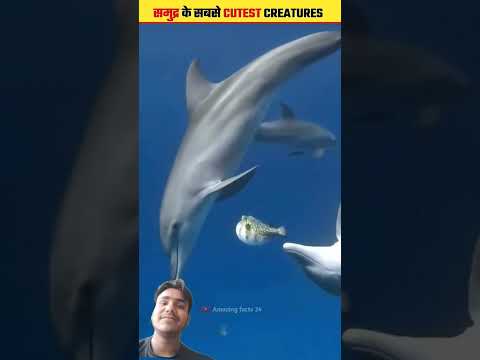 पक्षी 😮😮 #facts #factsinhindi #knowledge #amazingfacts #shortsvideo #islamicfacts #shortsfeed