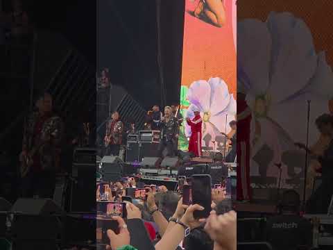 Soldado Del Amor - Mijares - Vive Latino 26#VL26