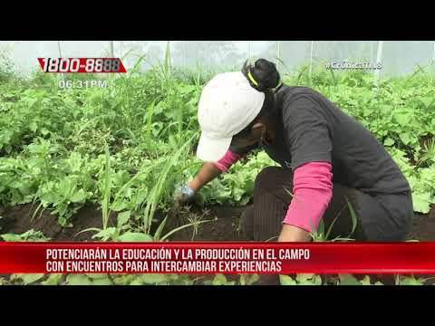 Nicaragua expuso a ONG´S el plan de producción para el presente ciclo agrícola